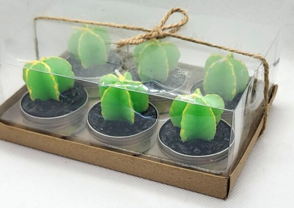 Teelichter Kaktus 6er Box